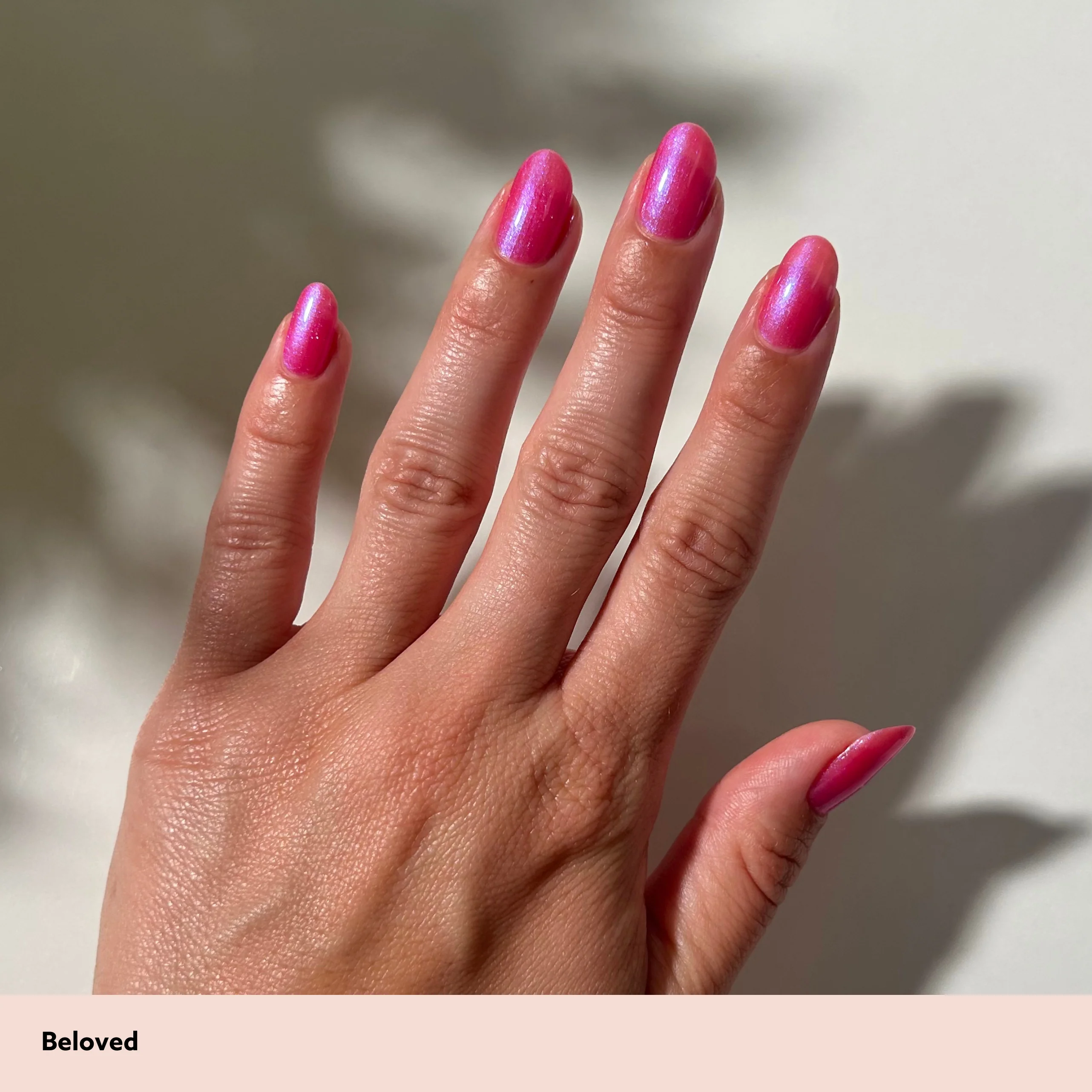 Beloved - Image 5