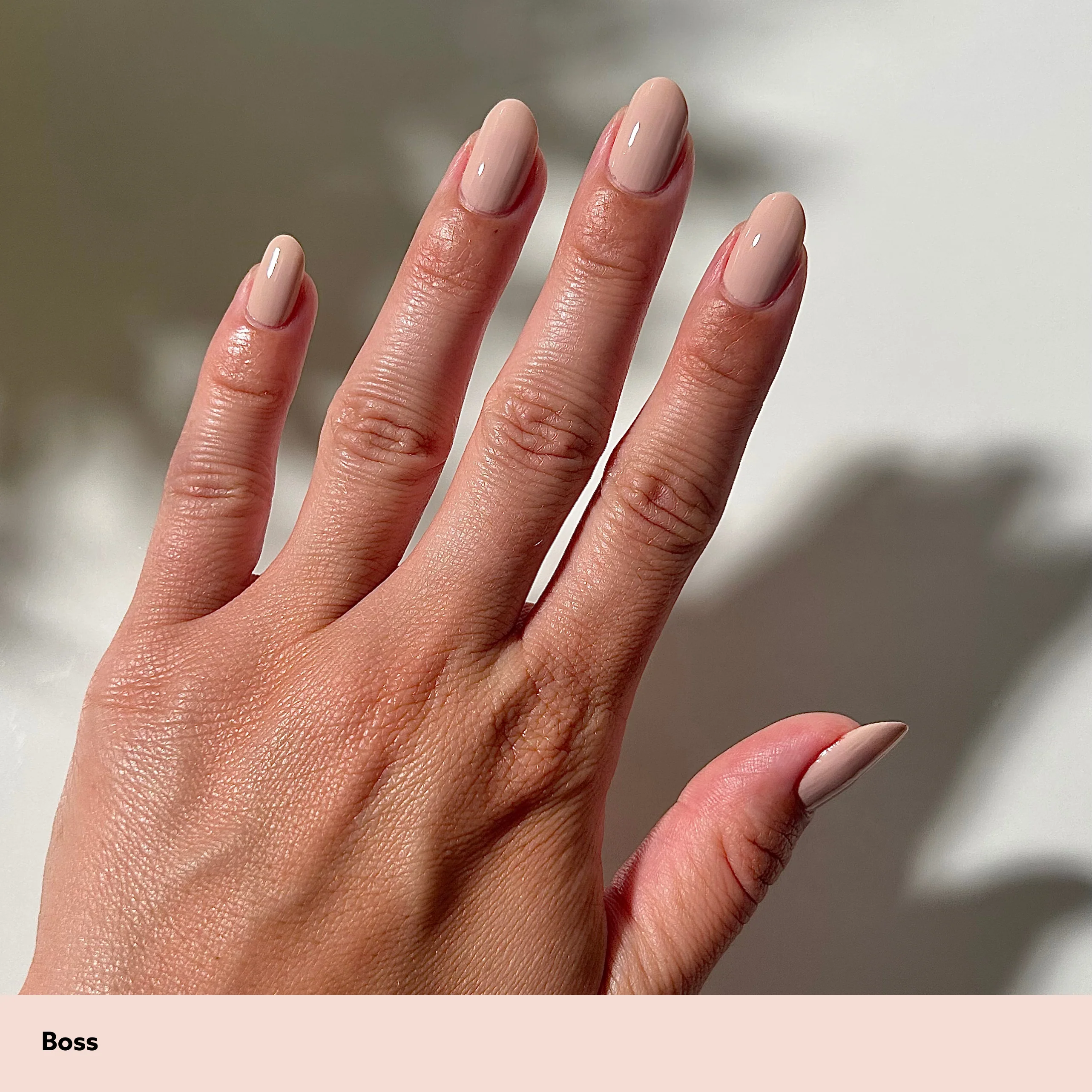 Boss - Image 5