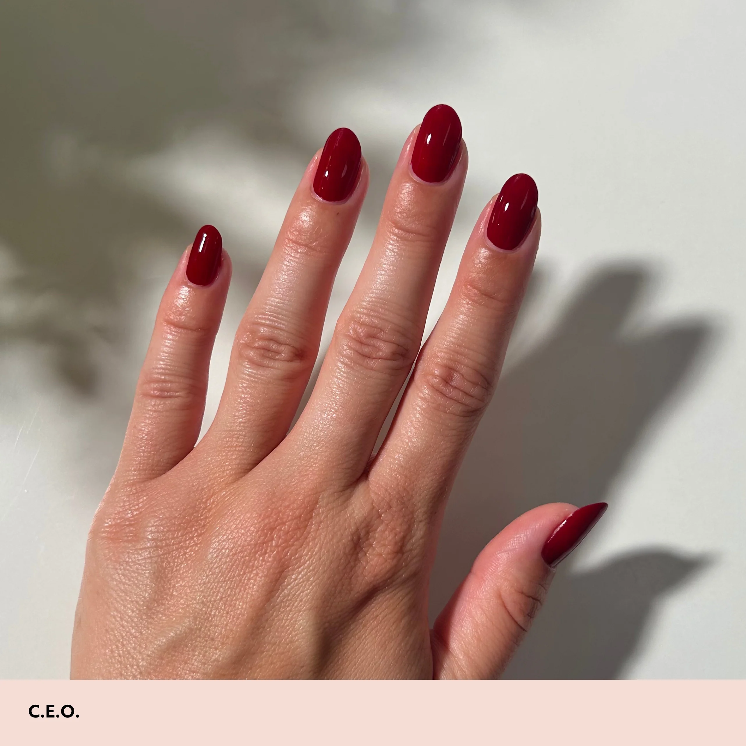 C.E.O. - Image 4