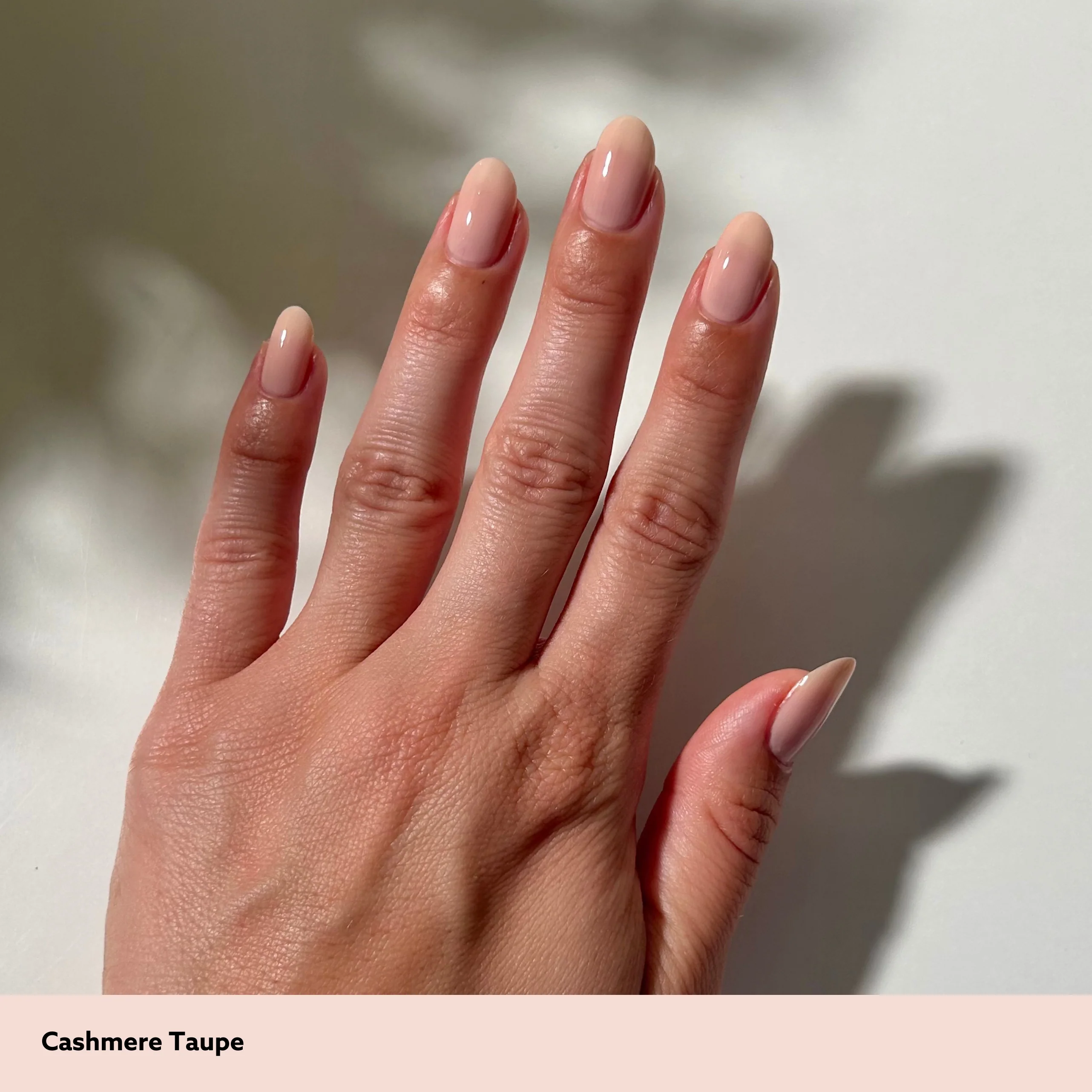 Cashmere Taupe - Image 4