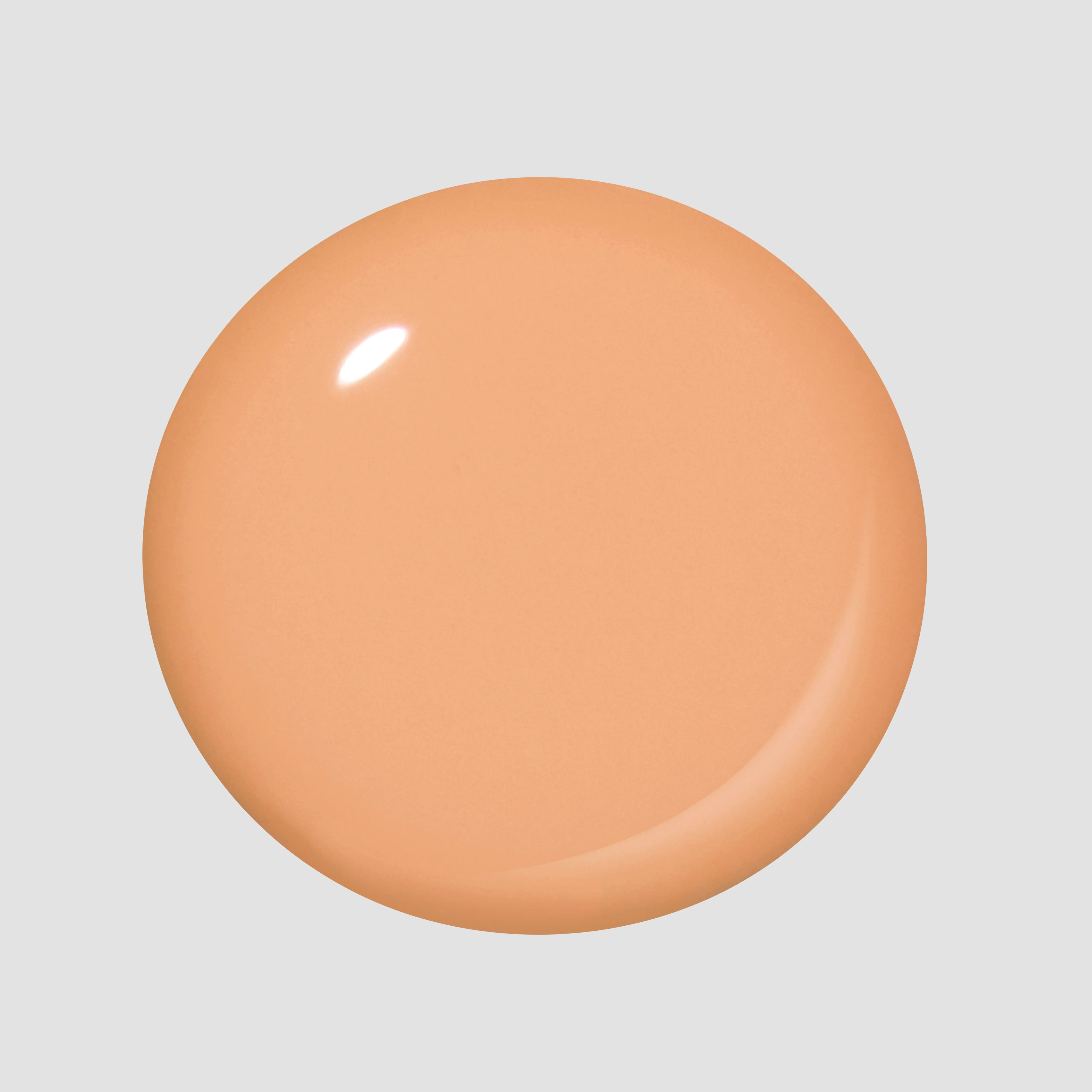 Creamsicle Sorbet - Image 3