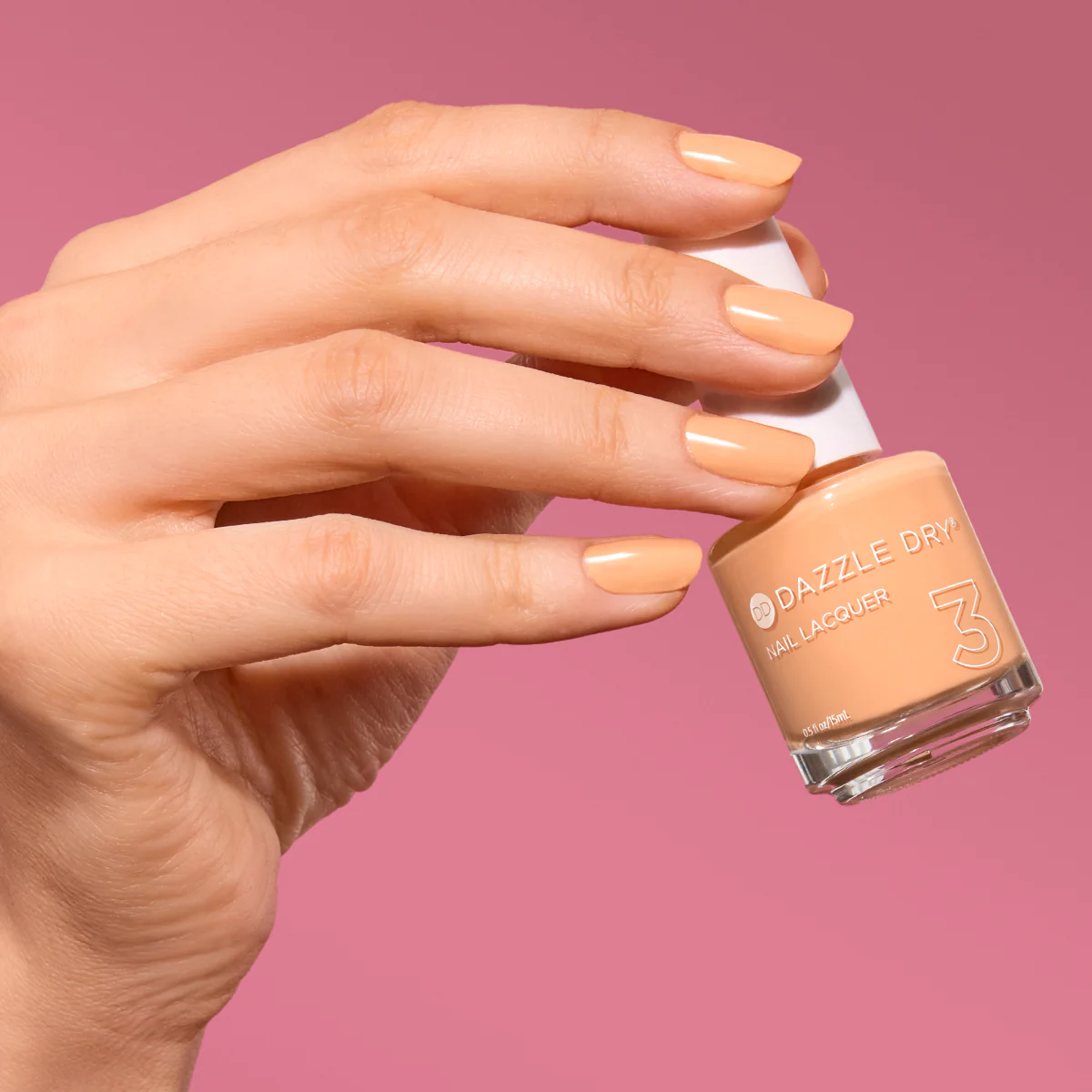 Creamsicle Sorbet - Image 4