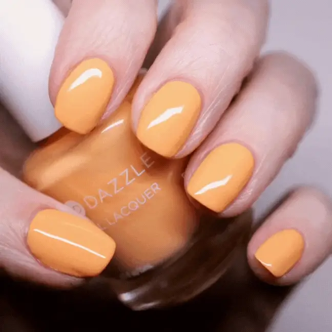Creamsicle Sorbet - Image 8