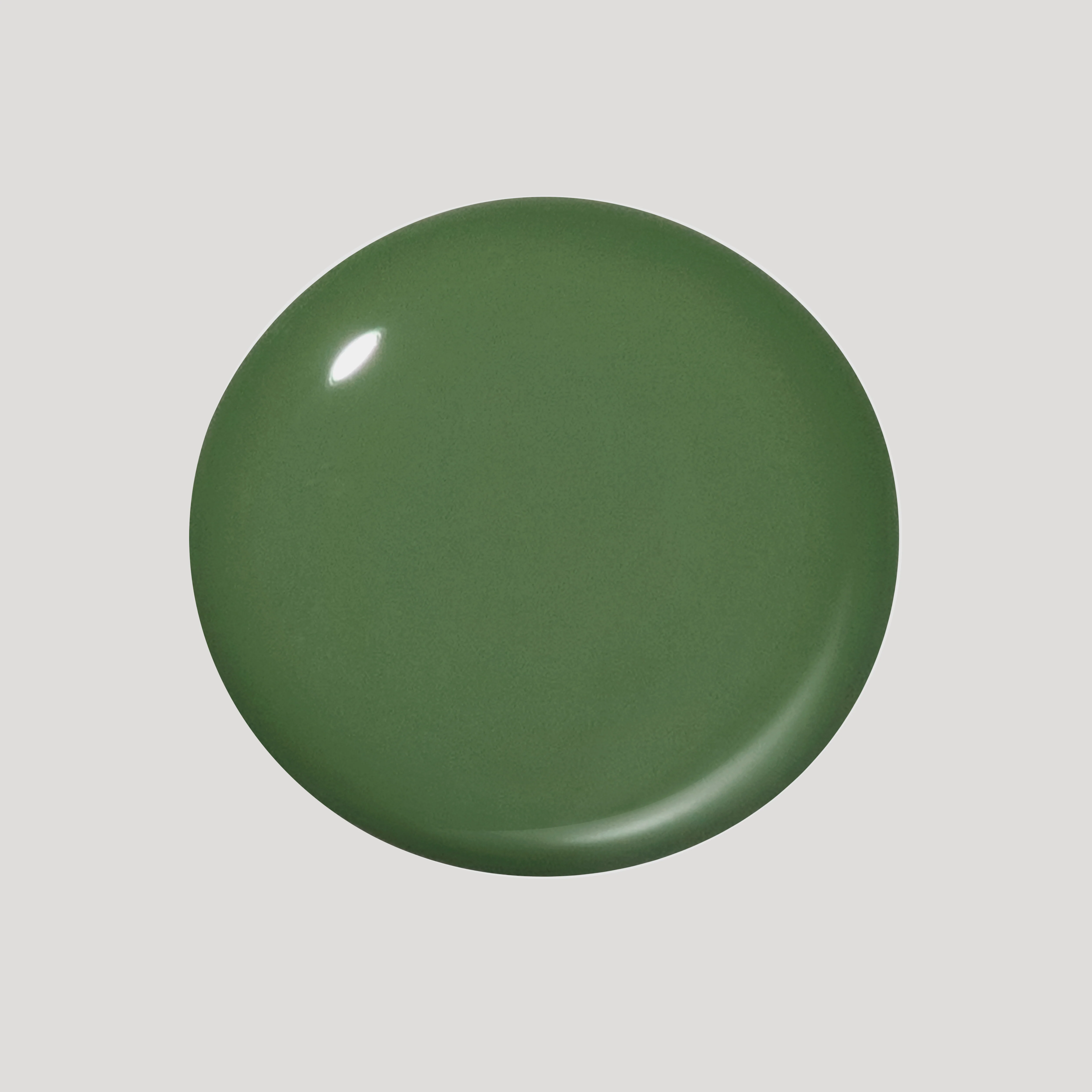Fern - Image 2