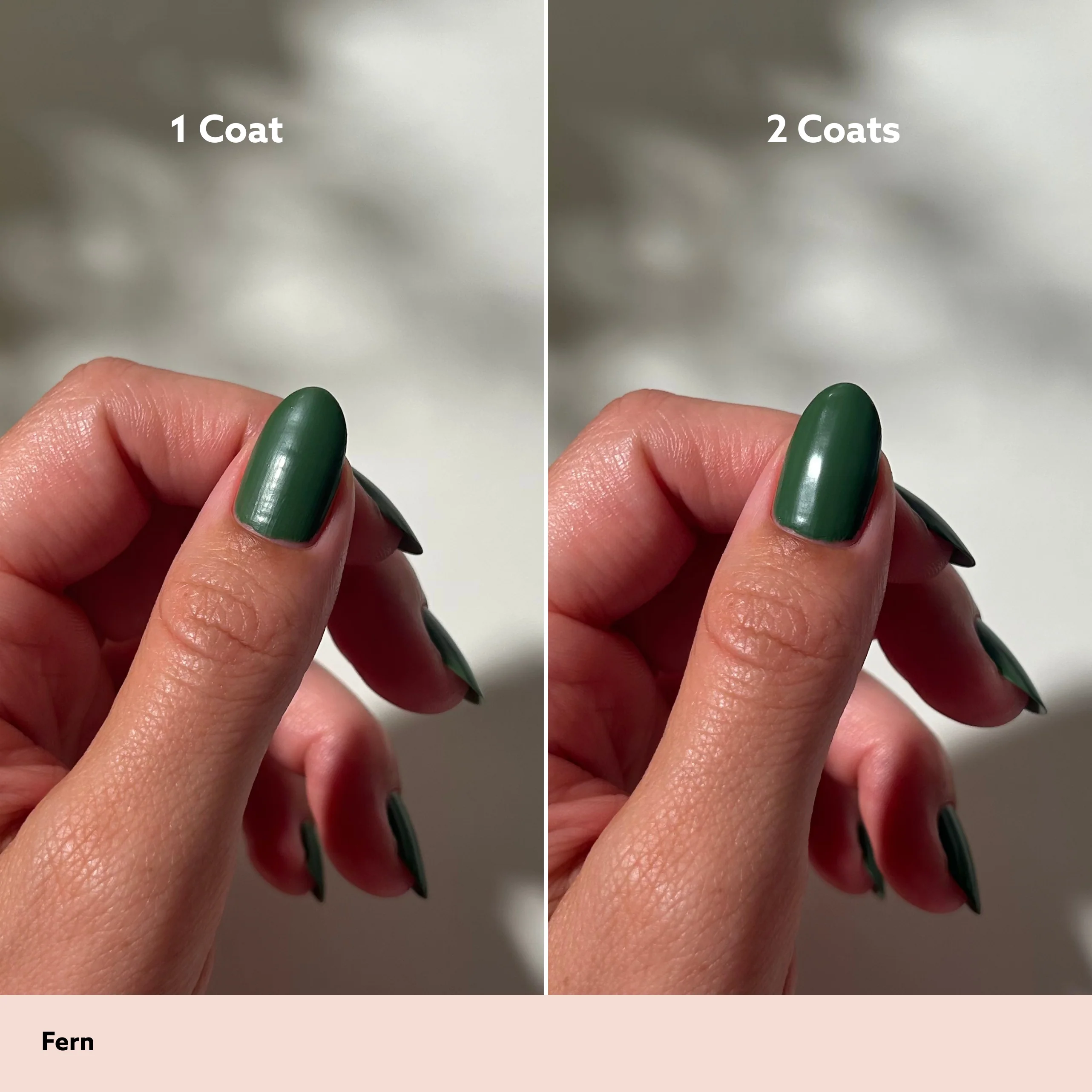 Fern - Image 5