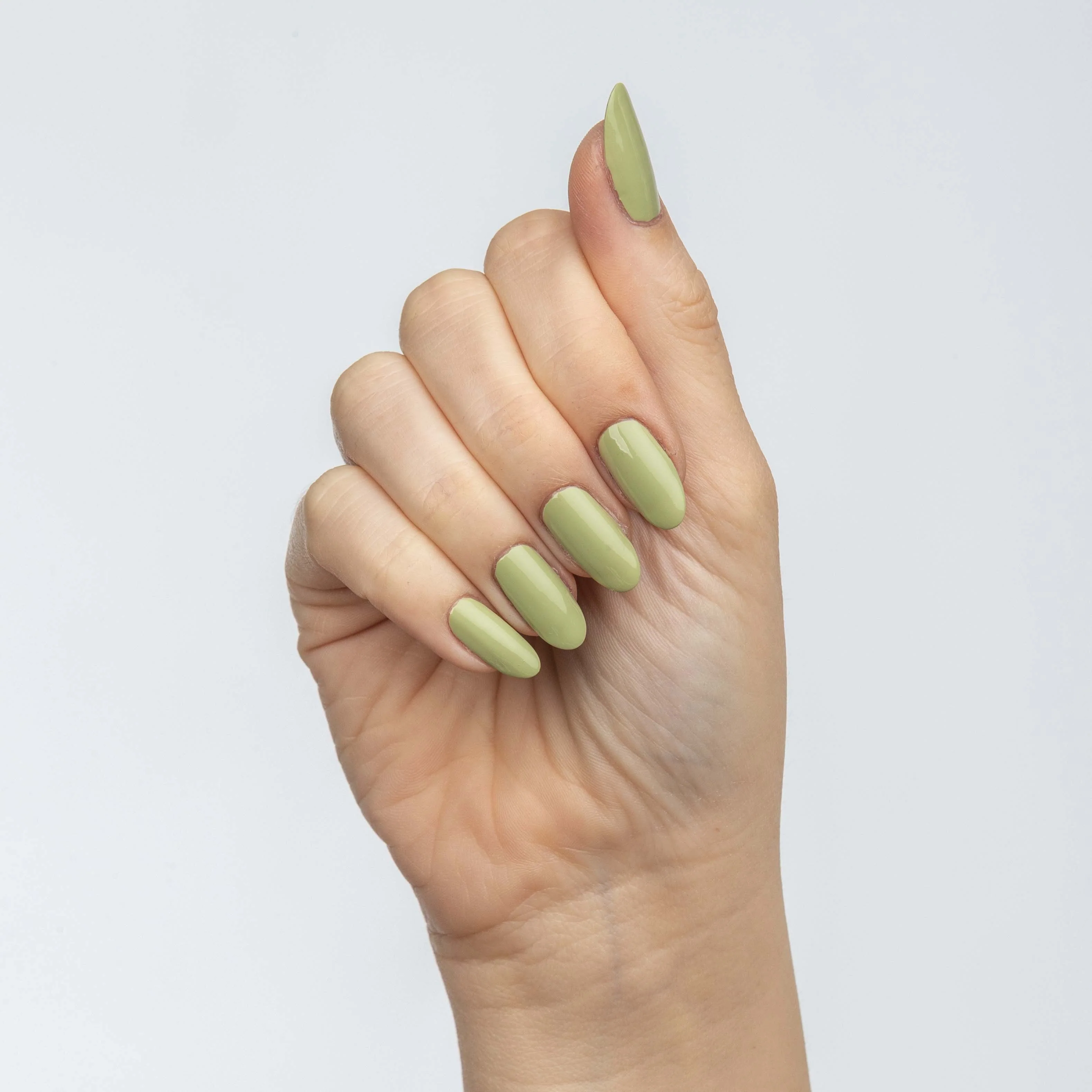 Pistachio - Image 3