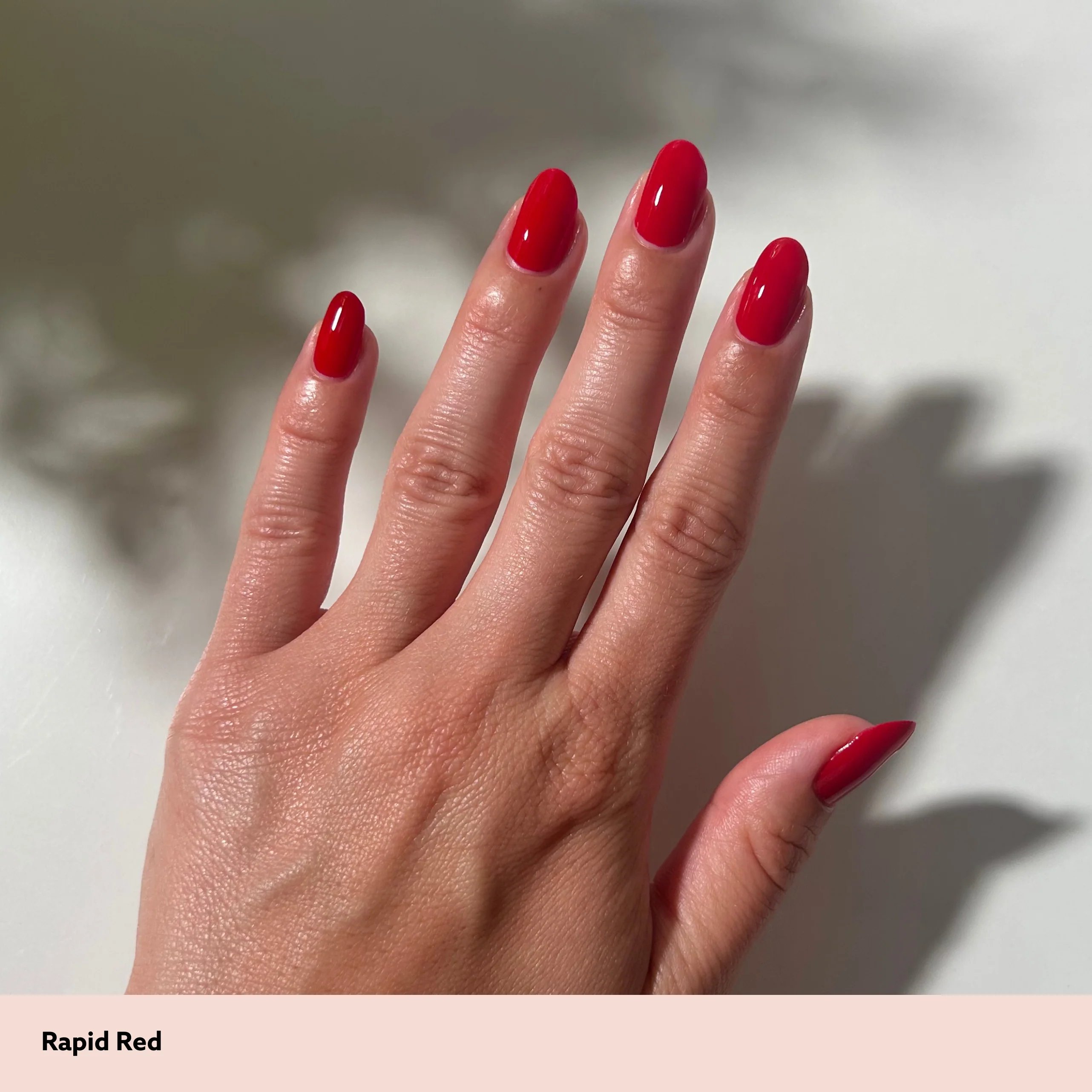 Rapid Red - Image 9