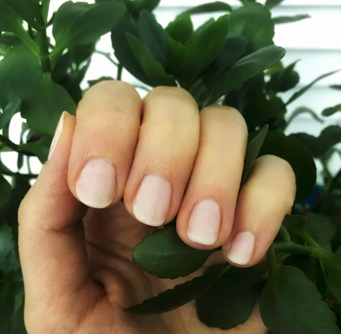 Rose Quartz - Image 4