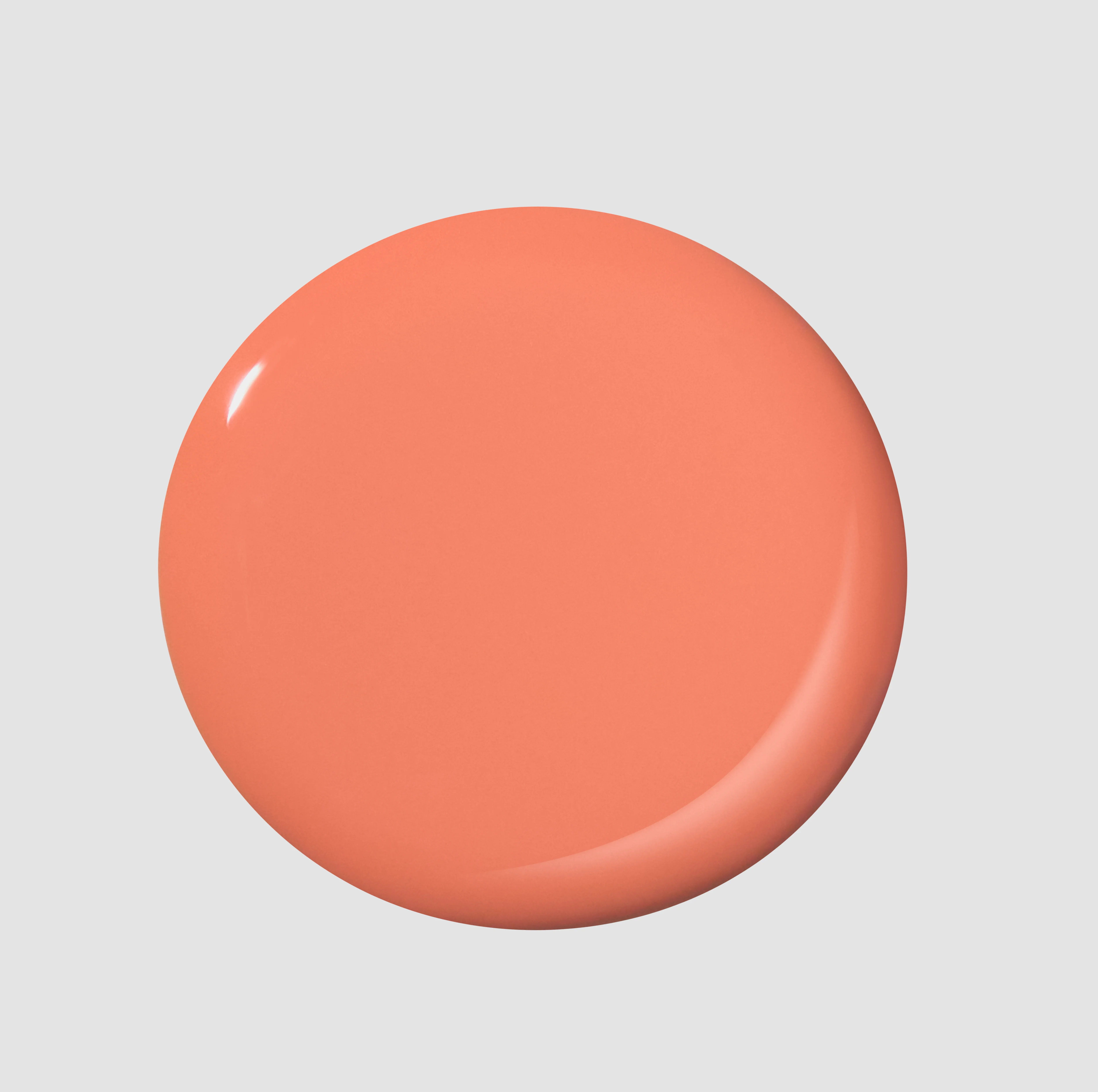 Round Trip - Image 2