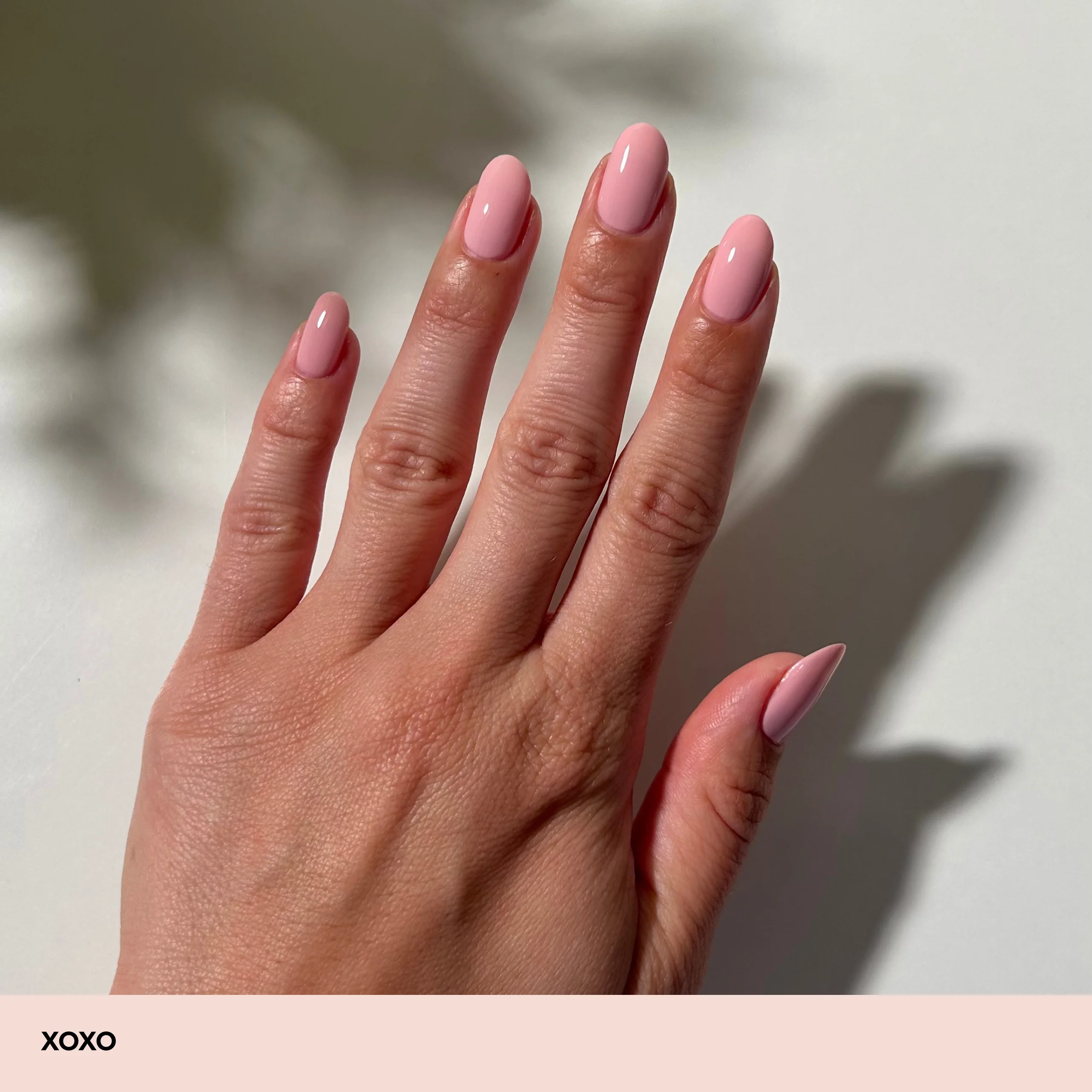 XOXO - Image 4